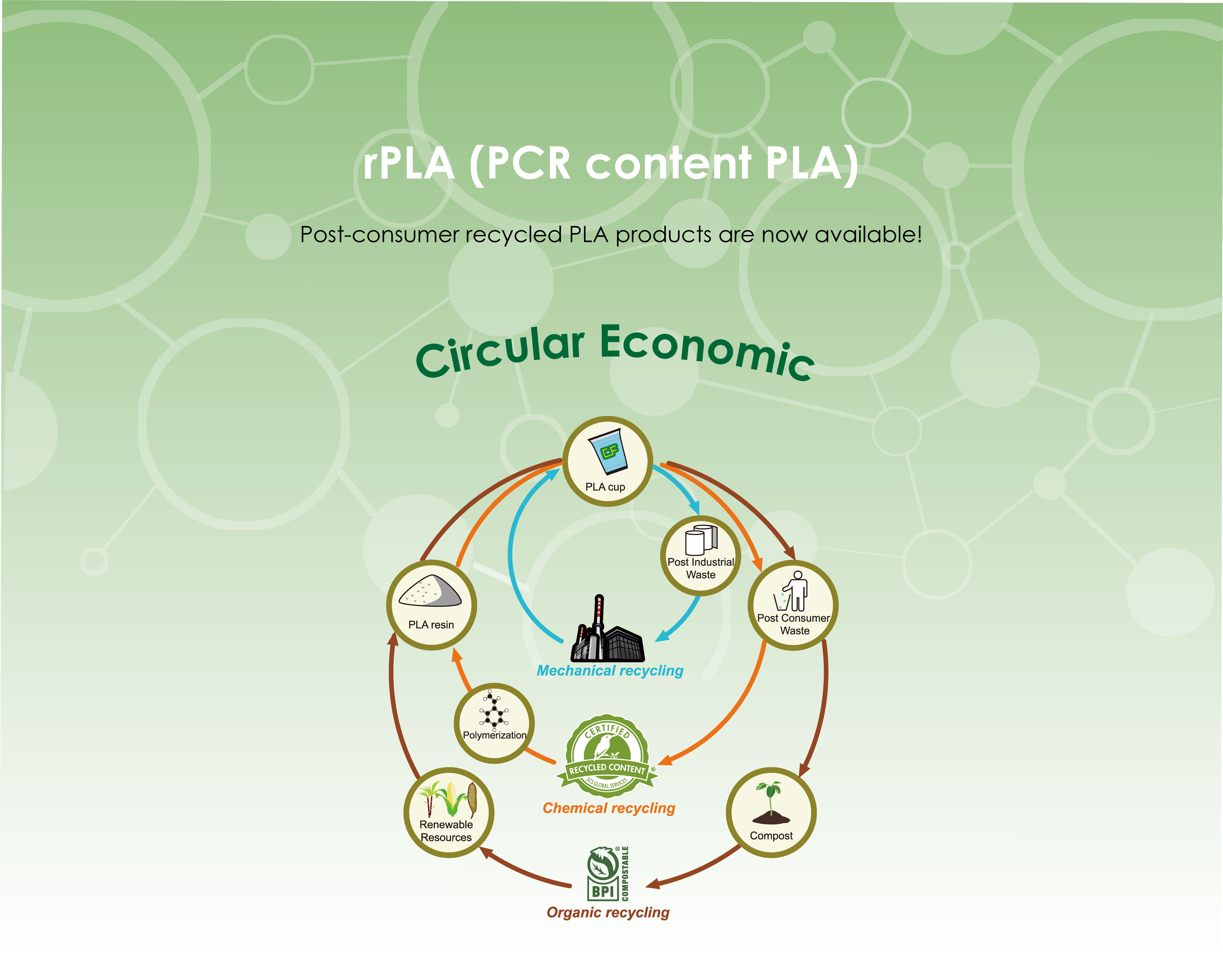 rPLA